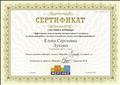 Сертификат участника вебинара , проект "Мерсибо", Москва, 2016г. Сертификат участника вебинара , проект "Мерсибо", Москва, 2016г.
